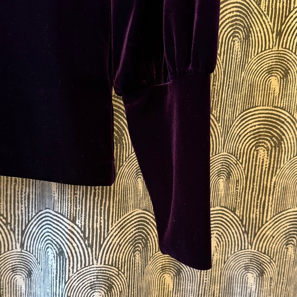 Vintage Velvet Long Sleeve Top - Picture 4 of 6